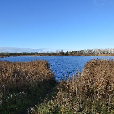 Uckermark "Ferienwohnung Sommerfugl " Passow  外观 照片