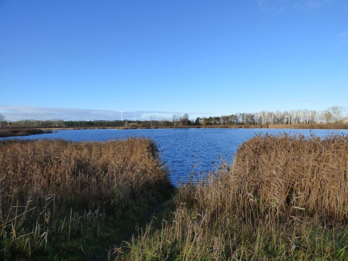 Uckermark "Ferienwohnung Sommerfugl " Passow  外观 照片