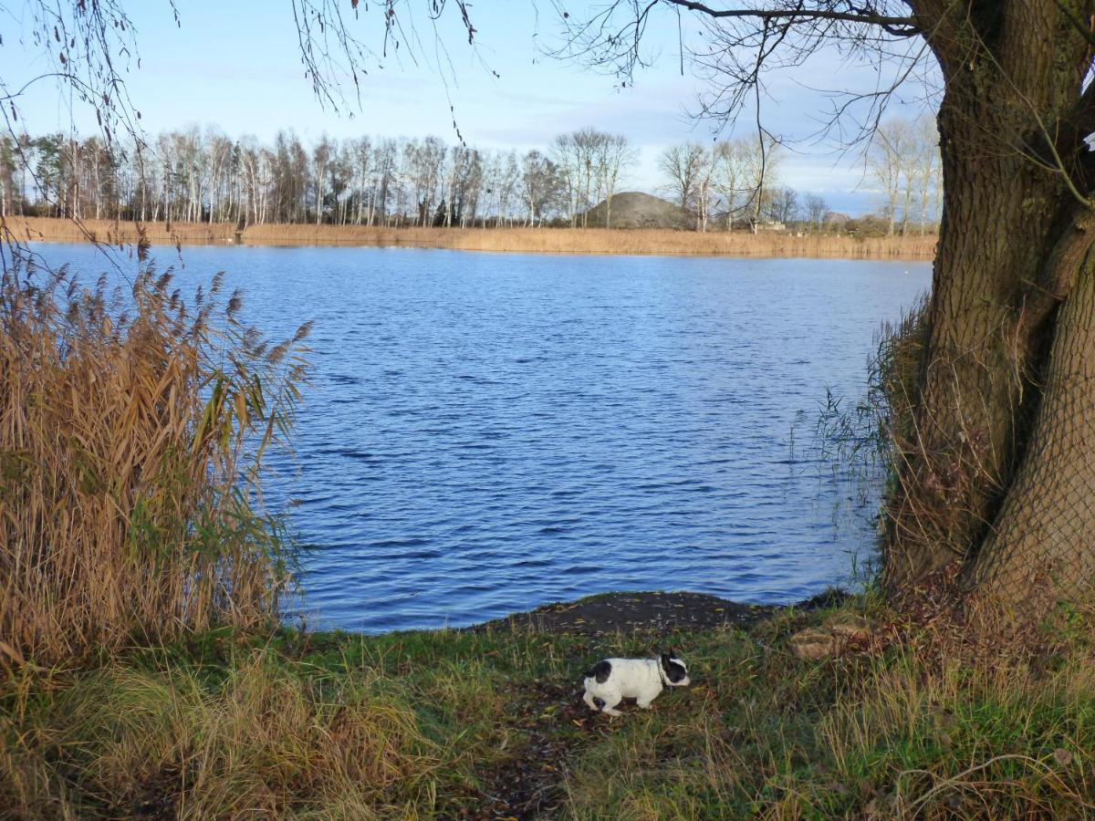 Uckermark "Ferienwohnung Sommerfugl " Passow  外观 照片