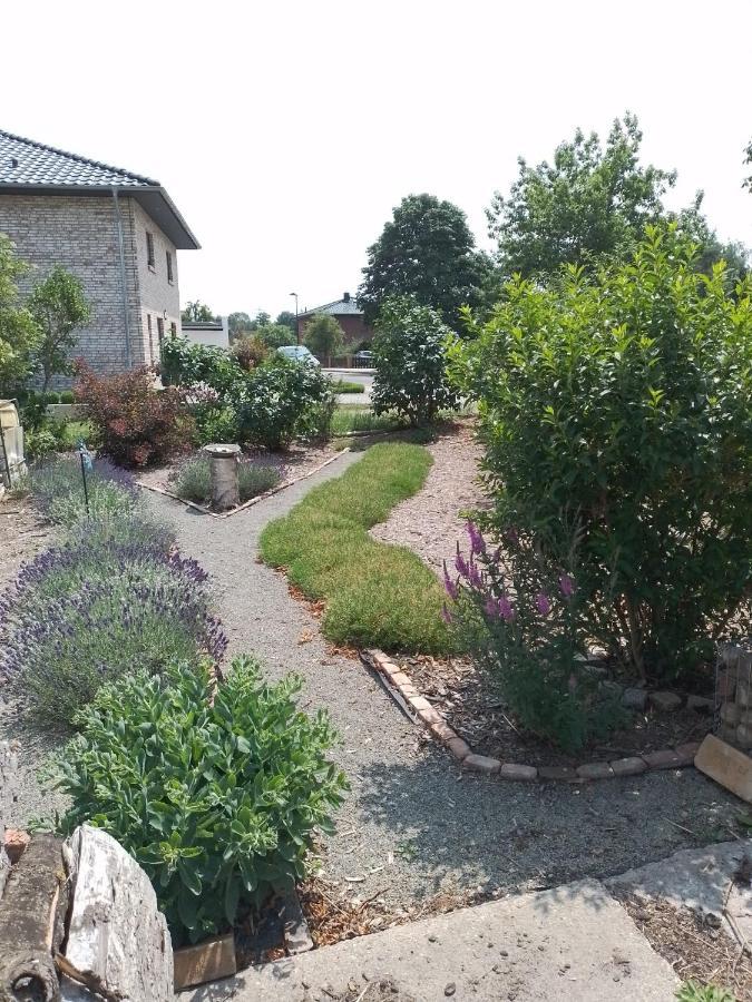 Uckermark "Ferienwohnung Sommerfugl " Passow  外观 照片