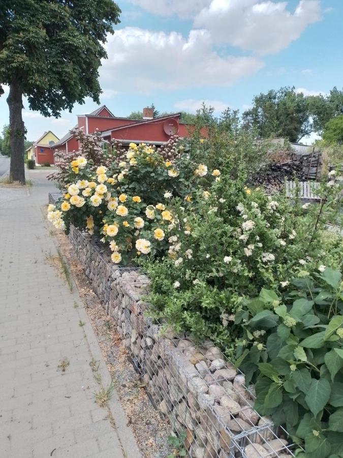Uckermark "Ferienwohnung Sommerfugl " Passow  外观 照片